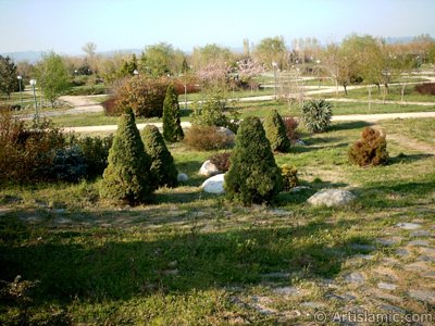 Bursa Botanik Park�ndan bir manzara. (Resim 2004 y�l�nda islamiSanat.net taraf�ndan �ekildi.)
