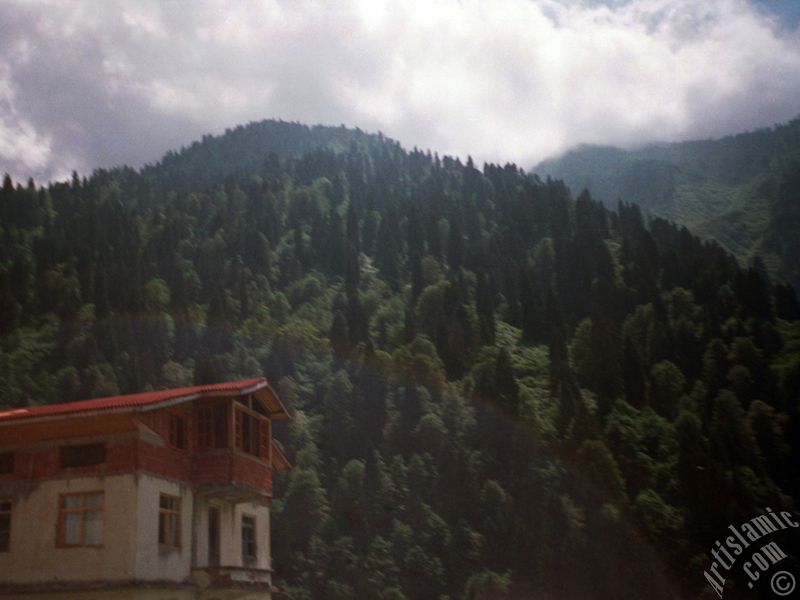 View of Ayder high plateau and spa located in Rize city of Turkey.
