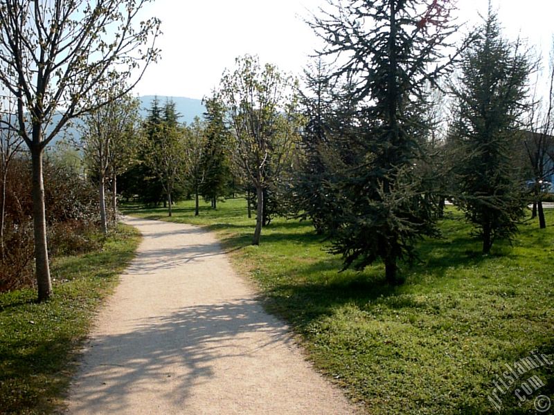 View of Botanical Park in Bursa city of Turkey.
