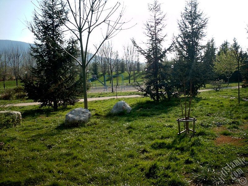Bursa Botanik Parkndan bir manzara.
