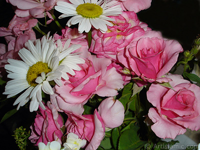 A bouquet consisting of rose, daisy and snapdragon flowers. <br>Photo Date: June 2007, Location: Turkey/Sakarya, By: Artislamic.com