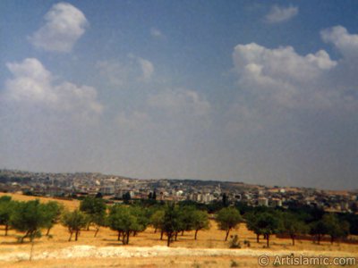 Gaziantep ilimize ehrin uzak kesimlerinden bir bak ve zeytin ve fstk aalar. (Resim 1990 ylnda islamiSanat.net tarafndan ekildi.)