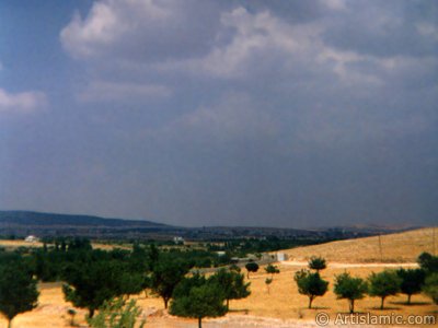 View of olive and pistachio trees in Gaziantep city of Turkey. (The picture was taken by Artislamic.com in 1990.)