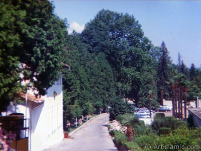 View of Termal-Gokcedere Village in Yalova city of Turkey. (The picture was taken by Artislamic.com in 1990.)