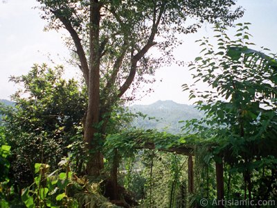 View of village from `OF district` in Trabzon city of Turkey. (The picture was taken by Artislamic.com in 2001.)