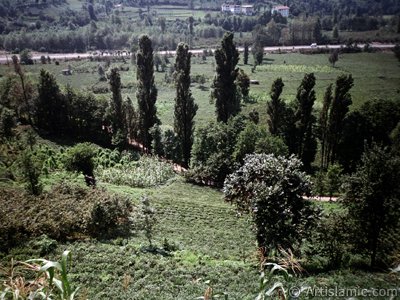 Trabzon`a bal Of ilemizden bir ky manzaras. (Resim 2001 ylnda islamiSanat.net tarafndan ekildi.)