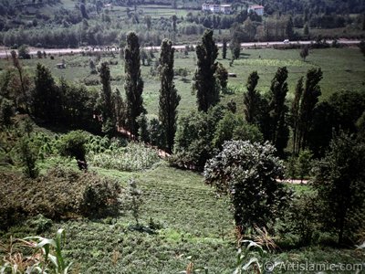 View of village from `OF district` in Trabzon city of Turkey. (The picture was taken by Artislamic.com in 2001.)