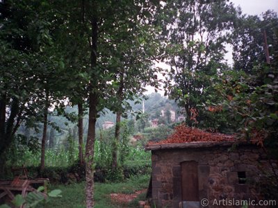 View of village from `OF district` in Trabzon city of Turkey. (The picture was taken by Artislamic.com in 2001.)