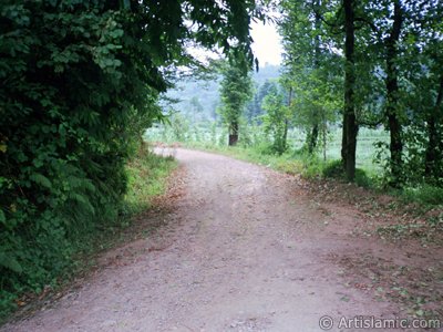 Trabzon`a bal Of ilemizden bir ky manzaras. (Resim 2001 ylnda islamiSanat.net tarafndan ekildi.)