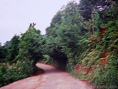 View of village from `OF district` in Trabzon city of Turkey. (The picture was taken by Artislamic.com in 2001.)