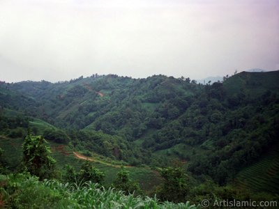 View of village from `OF district` in Trabzon city of Turkey. (The picture was taken by Artislamic.com in 2001.)