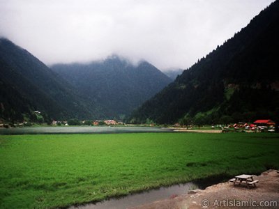 View of Uzungol high plateau located in Trabzon city of Turkey. (The picture was taken by Artislamic.com in 2001.)