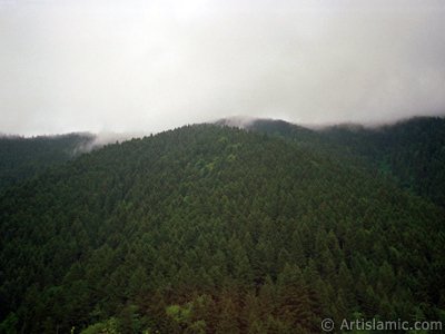 View of Uzungol high plateau located in Trabzon city of Turkey. (The picture was taken by Artislamic.com in 2001.)