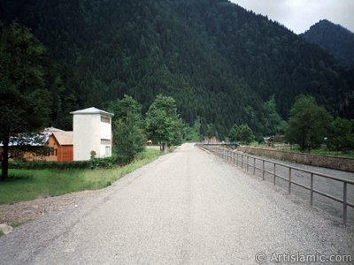 View of Uzungol high plateau located in Trabzon city of Turkey. (The picture was taken by Artislamic.com in 2001.)