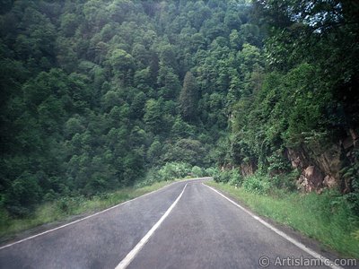 View of the high-way of Rize-Ayder high plateu in Turkey. (The picture was taken by Artislamic.com in 1999.)