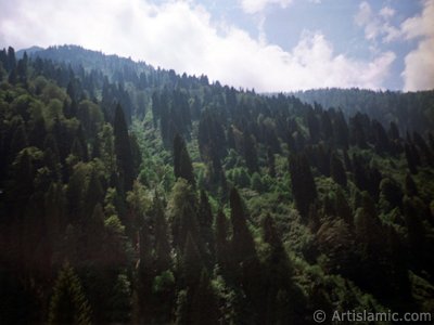 View of Ayder high plateau and spa located in Rize city of Turkey. (The picture was taken by Artislamic.com in 1999.)