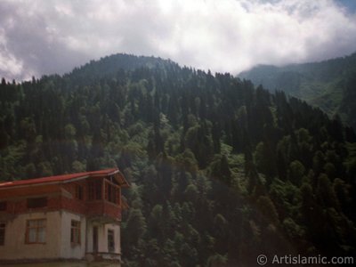 View of Ayder high plateau and spa located in Rize city of Turkey. (The picture was taken by Artislamic.com in 1999.)