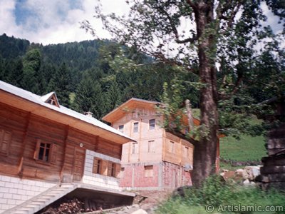 View of Ayder high plateau and spa located in Rize city of Turkey. (The picture was taken by Artislamic.com in 1999.)