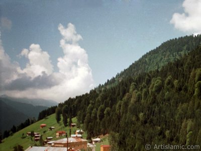 View of Ayder high plateau and spa located in Rize city of Turkey. (The picture was taken by Artislamic.com in 1999.)