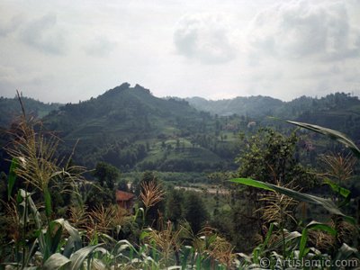 View of village from `OF district` in Trabzon city of Turkey. (The picture was taken by Artislamic.com in 2001.)