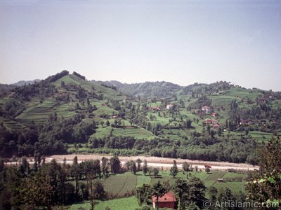 Trabzon`a bal Of ilemizden bir ky manzaras. (Resim 2001 ylnda islamiSanat.net tarafndan ekildi.)