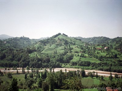 View of village from `OF district` in Trabzon city of Turkey. (The picture was taken by Artislamic.com in 2001.)