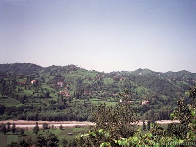 View of village from `OF district` in Trabzon city of Turkey. (The picture was taken by Artislamic.com in 2001.)
