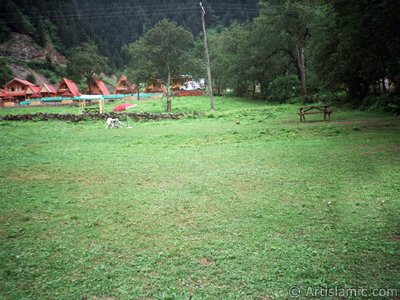 View of Uzungol high plateau located in Trabzon city of Turkey. (The picture was taken by Artislamic.com in 2001.)