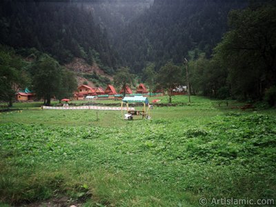 Trabzon Uzungl Yaylas`ndan bir manzara. (Resim 2001 ylnda islamiSanat.net tarafndan ekildi.)