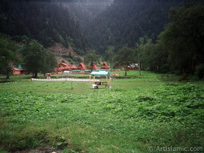 View of Uzungol high plateau located in Trabzon city of Turkey. (The picture was taken by Artislamic.com in 2001.)