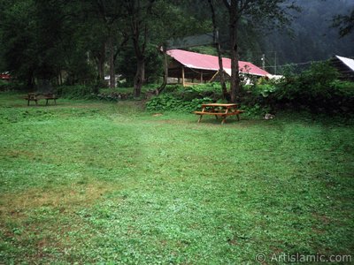 View of Uzungol high plateau located in Trabzon city of Turkey. (The picture was taken by Artislamic.com in 2001.)