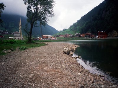 Trabzon Uzungl Yaylas`ndan bir manzara. (Resim 2001 ylnda islamiSanat.net tarafndan ekildi.)