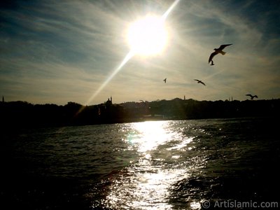 View of Eminonu coast and the sea gulls from the sea in Istanbul city of Turkey. (The picture was taken by Artislamic.com in 2004.)