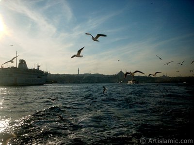 View of Eminonu coast, Beyazit Tower, Suleymaniye Mosque and Fatih Mosque from the Bosphorus in Istanbul city of Turkey. (The picture was taken by Artislamic.com in 2004.)