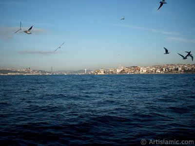 View of Bosphorus Bridge, Uskudar coast Kiz Kulesi (Maiden`s Tower) and sea gulls from the Bosphorus in Istanbul city of Turkey. (The picture was taken by Artislamic.com in 2004.)