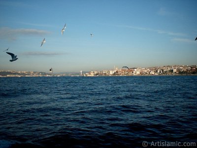 View of Bosphorus Bridge, Uskudar coast Kiz Kulesi (Maiden`s Tower) and sea gulls from the Bosphorus in Istanbul city of Turkey. (The picture was taken by Artislamic.com in 2004.)