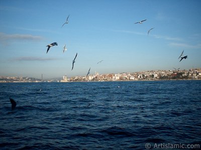 View of Bosphorus Bridge, Uskudar coast Kiz Kulesi (Maiden`s Tower) and sea gulls from the Bosphorus in Istanbul city of Turkey. (The picture was taken by Artislamic.com in 2004.)