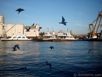 Denizden Haydarpaa iskelesinin yanndan bir grn. (Resim 2004 ylnda islamiSanat.net tarafndan ekildi.)