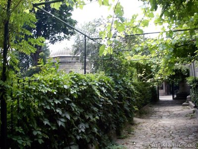 The entrance of the Tomb of Sultan Beyazid II in behind of Sahaflar (Book market) in Beyazit district in Istanbul city of Turkey. (The picture was taken by Artislamic.com in 2004.)