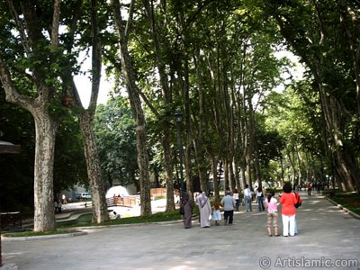 View of a park in Gulhane district in Istanbul city of Turkey. (The picture was taken by Artislamic.com in 2004.)