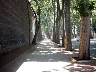 stanbul`da Dolmabahe-Beikta yolu. (Resim 2004 ylnda islamiSanat.net tarafndan ekildi.)