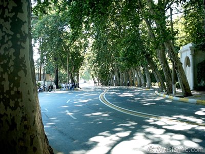 View towards Dolmabahce district from the way of Dolmabahce-Besiktas in Istanbul city of Turkey. (The picture was taken by Artislamic.com in 2004.)