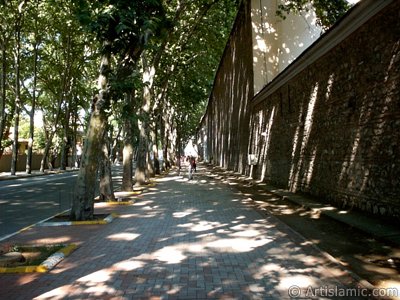 stanbul Dolmabahe-Beikta yolundan Beikta ynne bak. (Resim 2004 ylnda islamiSanat.net tarafndan ekildi.)