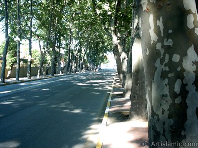 View towards Besiktas district from the way of Dolmabahce-Besiktas in Istanbul city of Turkey. (The picture was taken by Artislamic.com in 2004.)