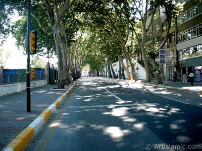 stanbul Beikta-Ortaky yolundan Beikta ynne doru bak. (Resim 2004 ylnda islamiSanat.net tarafndan ekildi.)