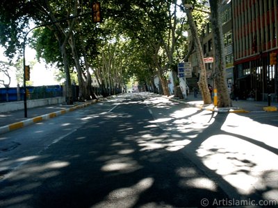 stanbul Beikta-Ortaky yolundan Beikta ynne doru bak. (Resim 2004 ylnda islamiSanat.net tarafndan ekildi.)