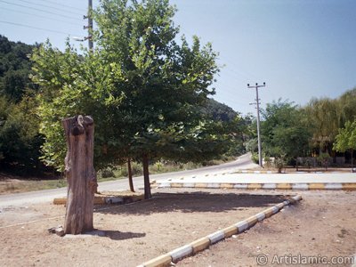 View of Termal-Gokcedere Village in Yalova city of Turkey. (The picture was taken by Artislamic.com in 2004.)