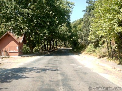 View of Termal-Gokcedere Village in Yalova city of Turkey. (The picture was taken by Artislamic.com in 2004.)