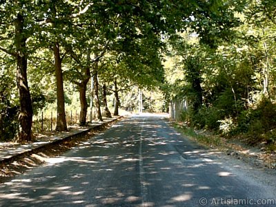 View of Termal-Gokcedere Village in Yalova city of Turkey. (The picture was taken by Artislamic.com in 2004.)