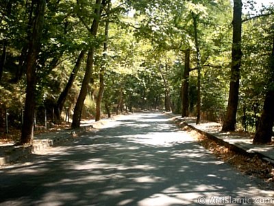 View of Termal-Gokcedere Village in Yalova city of Turkey. (The picture was taken by Artislamic.com in 2004.)